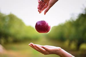 Fallender Apfel als Erklärung der Schwerkraft