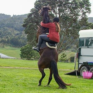 Vicky Wilson au steigendem Pferd