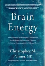 Titelbild des Buchs "Brain Energy" von Chris Palmer