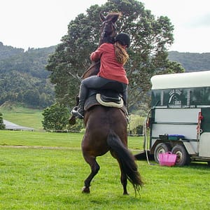Vicky Wilson au steigendem Pferd